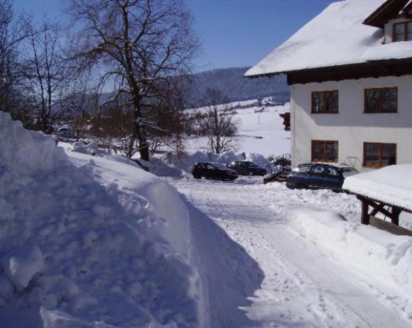 Bauernhof Kasleitner Villa Zell am Moos Eksteriør bilde