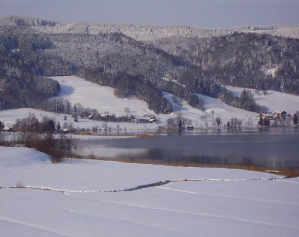 Bauernhof Kasleitner Villa Zell am Moos Eksteriør bilde