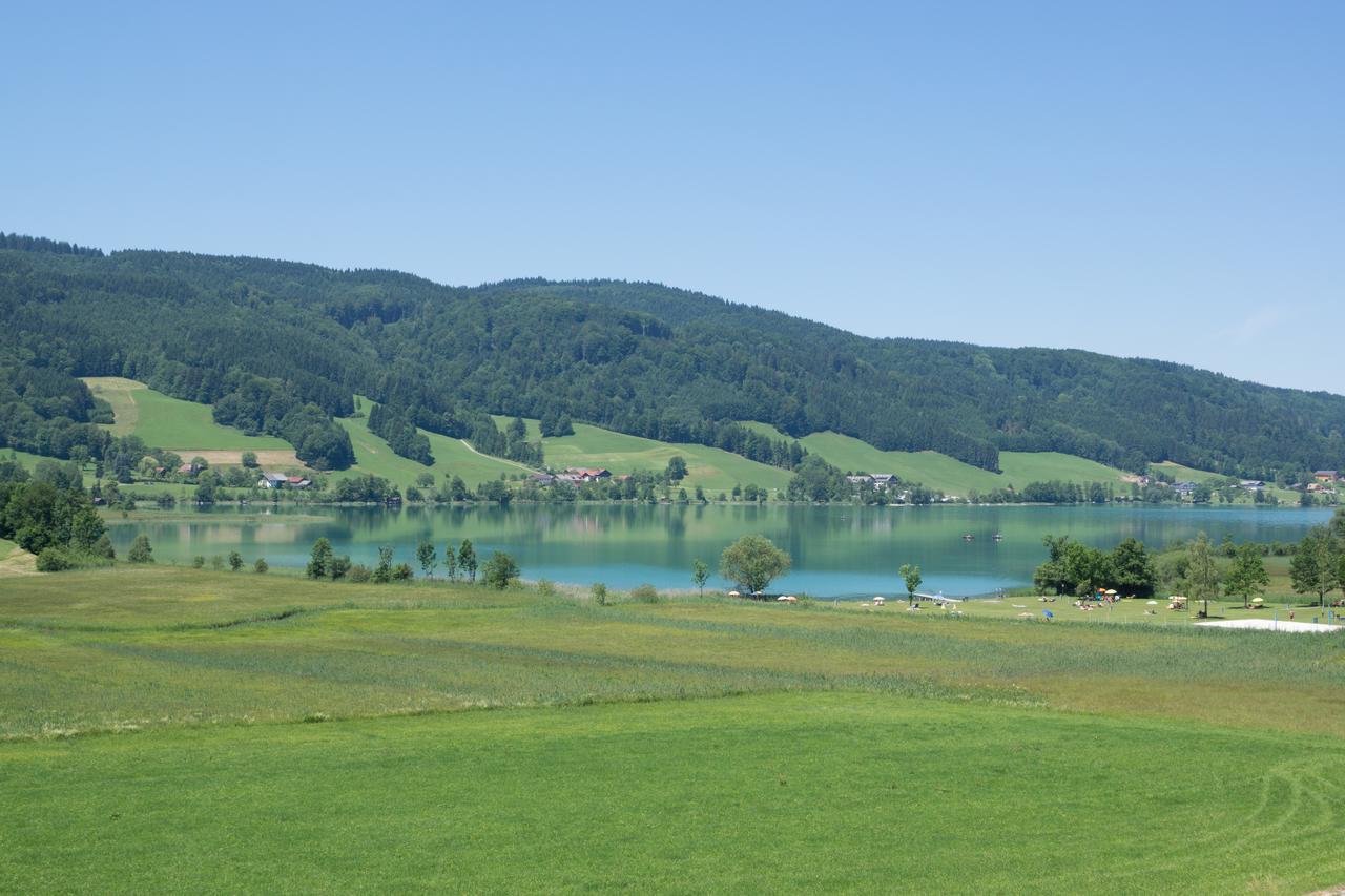 Bauernhof Kasleitner Villa Zell am Moos Eksteriør bilde