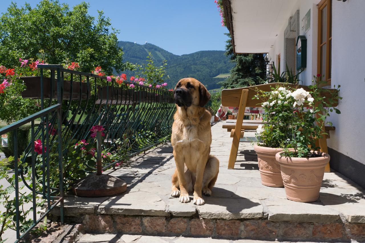 Bauernhof Kasleitner Villa Zell am Moos Eksteriør bilde